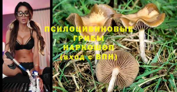 крисы Арсеньев