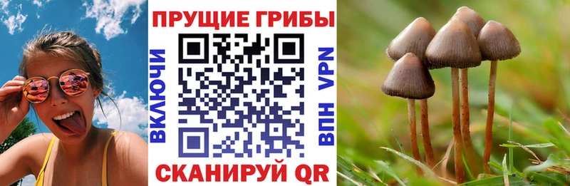 Галлюциногенные грибы прущие грибы  наркотики  ссылка на мегу как зайти  Порхов 
